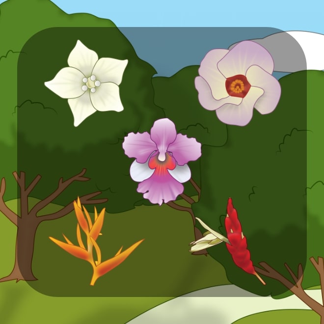 FlowerSaga_Thumbnail